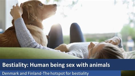 guys having sex with animals|Male Bestiality. Free porn videos of sex with animals.